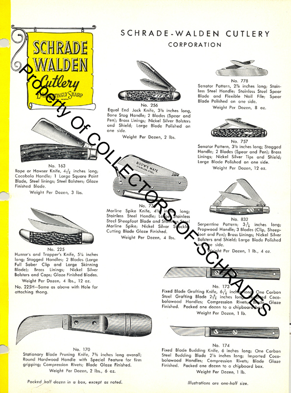 SW-54- (7)